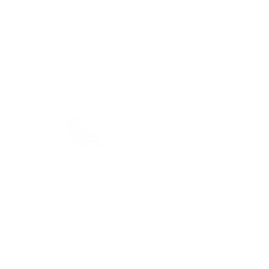 RavynLTD
